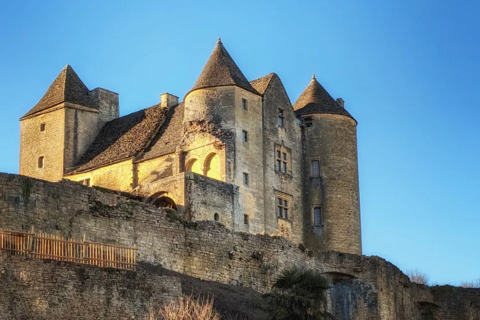 Château de Salignac