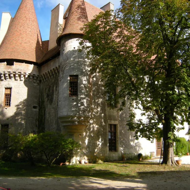 Château Puyferrat
