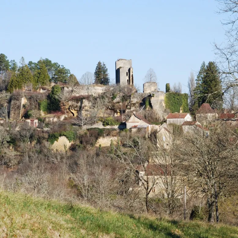 Forteresse de Miremont