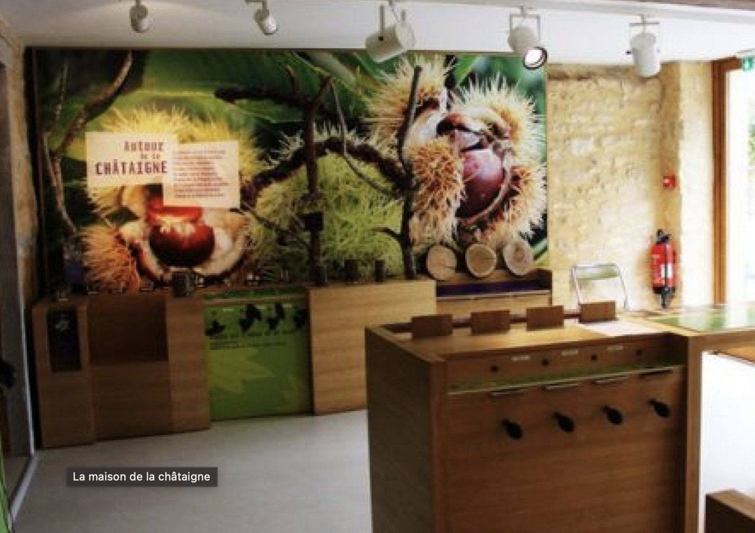 Maison du Châtaignier, du marron et du champignon