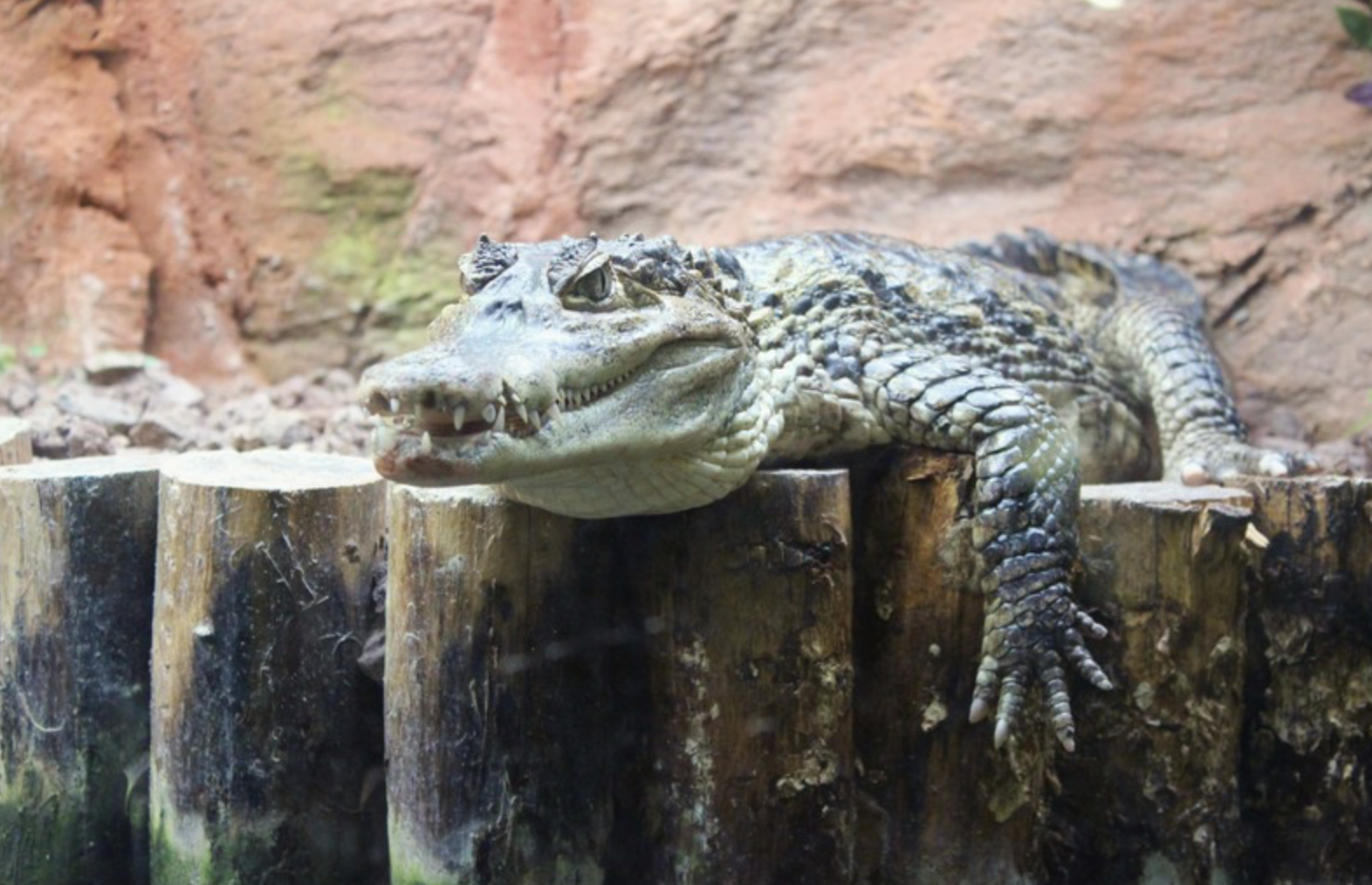 Aquarium du Périgord Noir