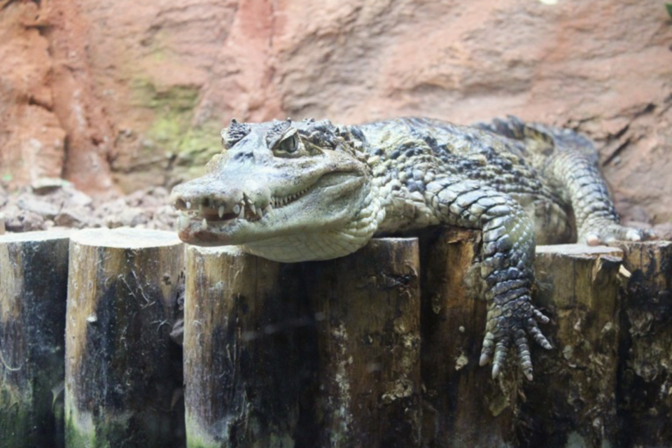 Aquarium du Périgord Noir