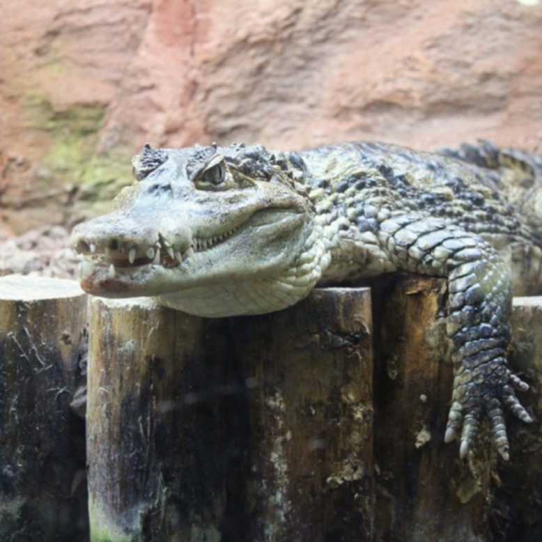 Aquarium du Périgord Noir