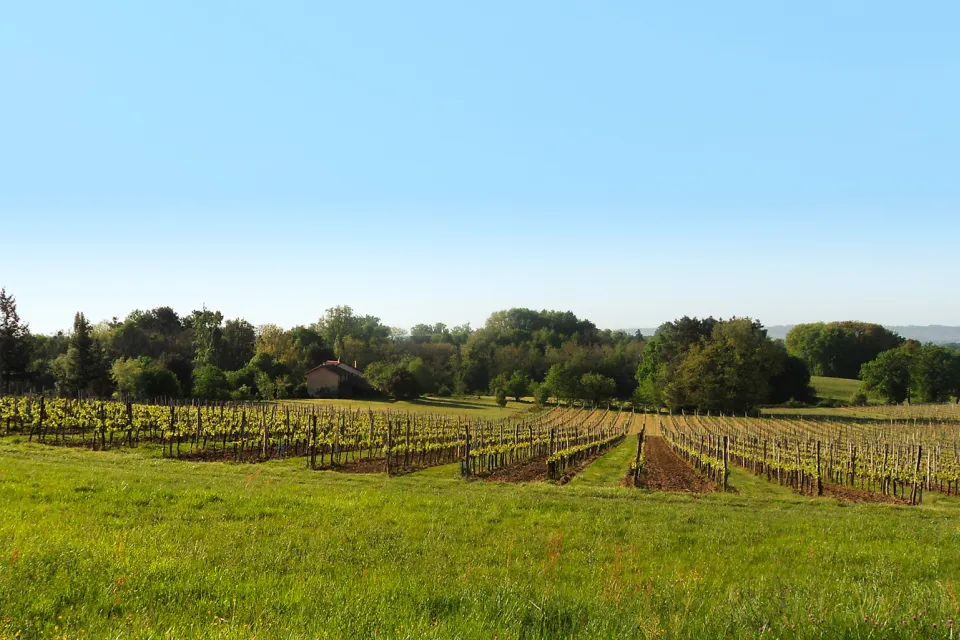 Domaine Le Perrier