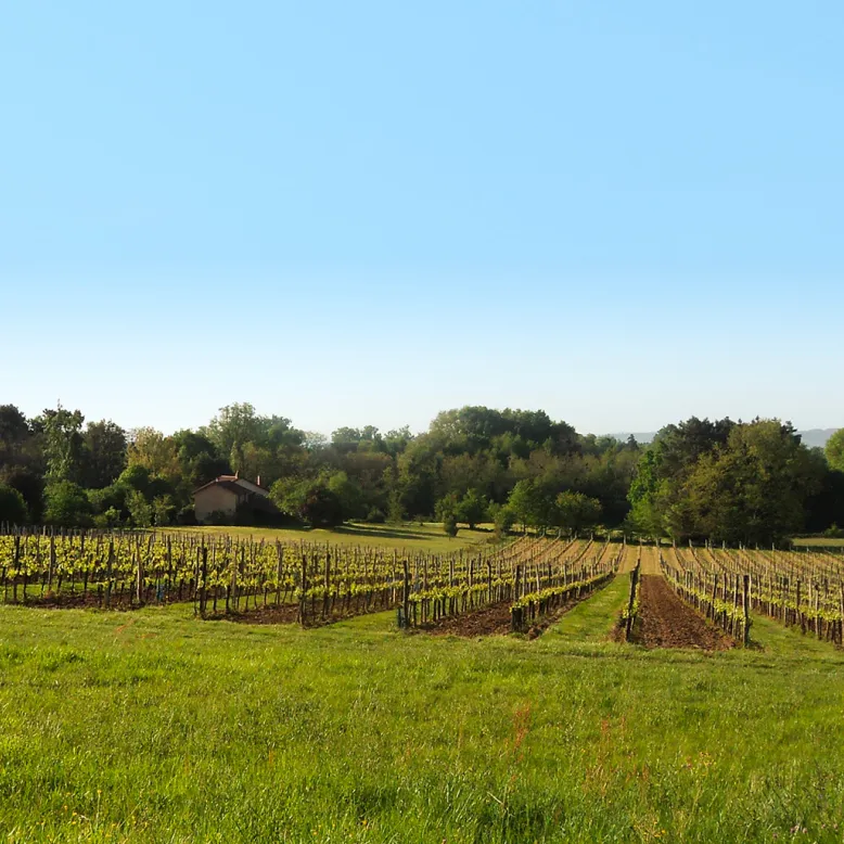 Domaine Le Perrier