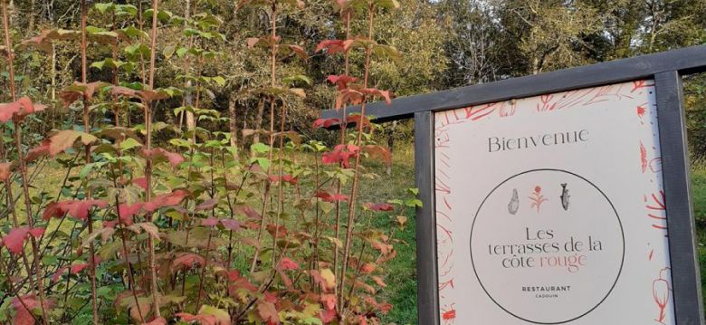 Les Terrasses de la Côte Rouge