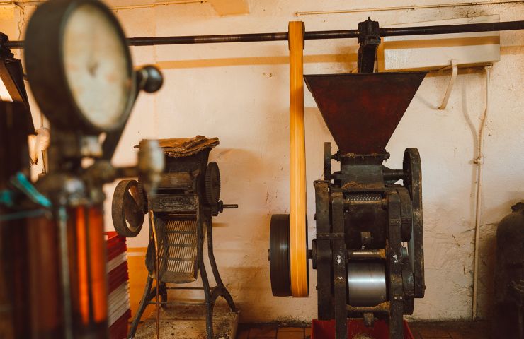 Les Noyeraies du Lander