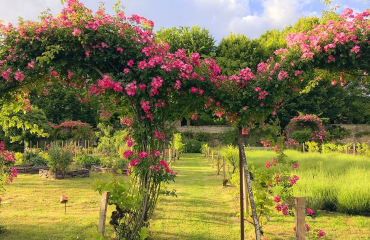 La Chartreuse du Maine