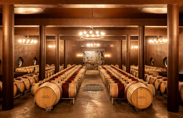 Vignoble des Verdots