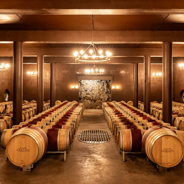 Vignoble des Verdots