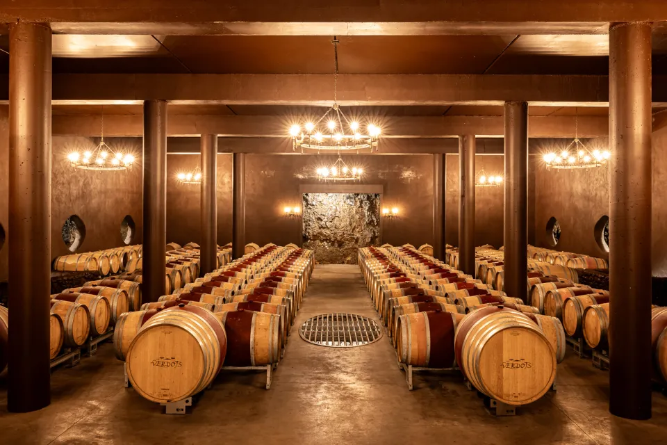 Vignoble des Verdots