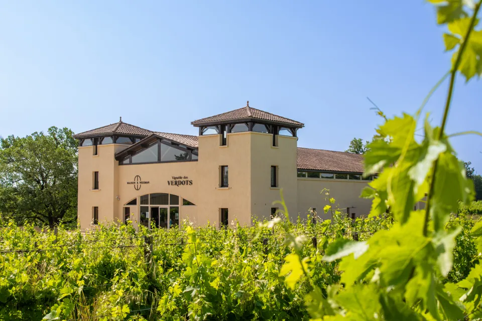 Vignoble des Verdots