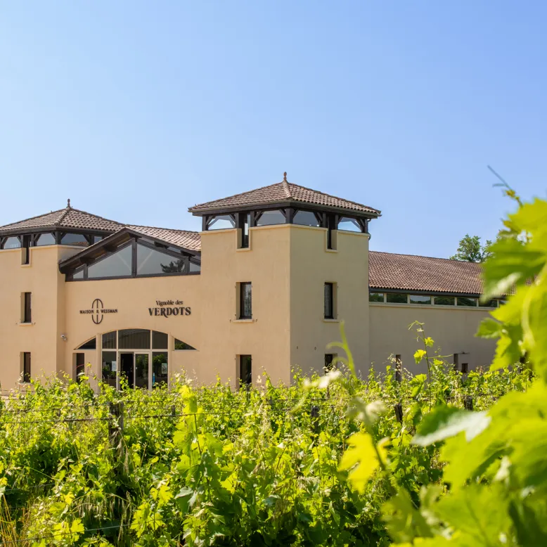 Vignoble des Verdots
