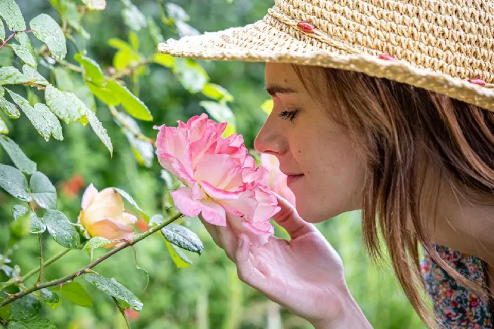 Les Jardins de Sardy