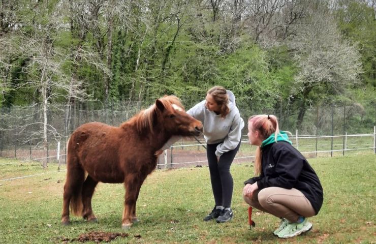 Camping les Tourterelles