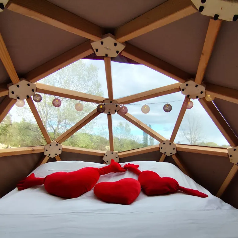 Friendly Camping & Lodges