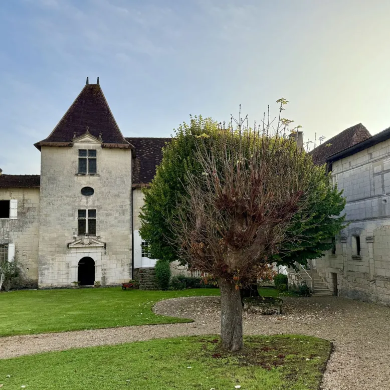 Château de Bonnes