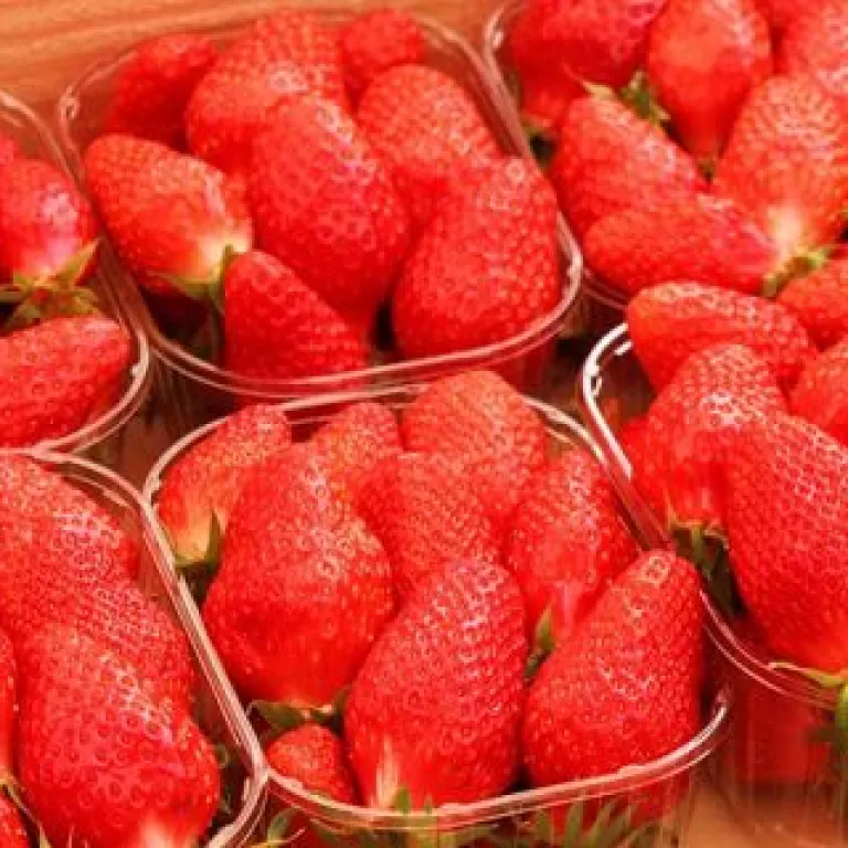 Balade au Marché de Périgueux