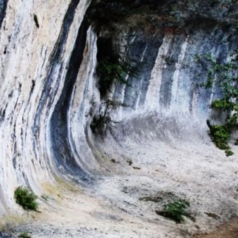 The Abri Cro-Magnon