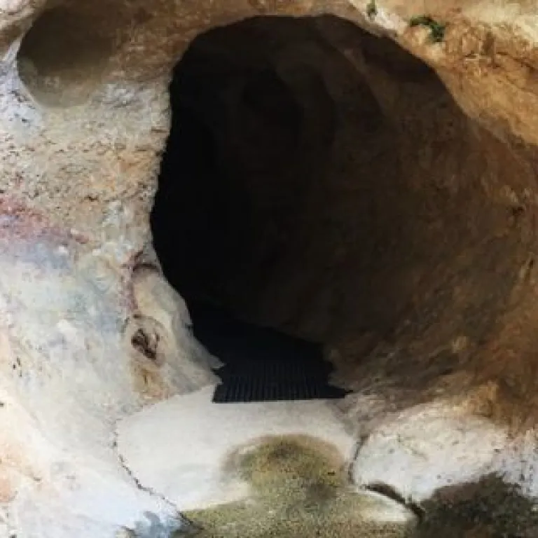 The Font de Gaume cave