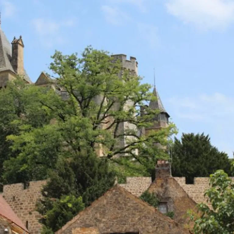 Montfort et son Cingle