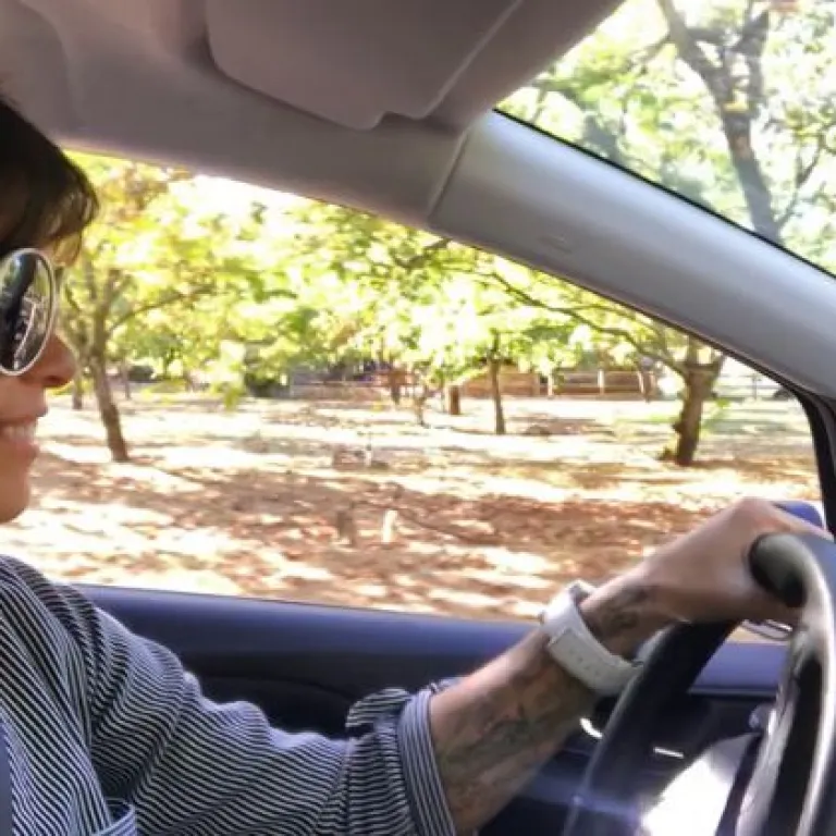 A roadtrip to discover the perigord walnut