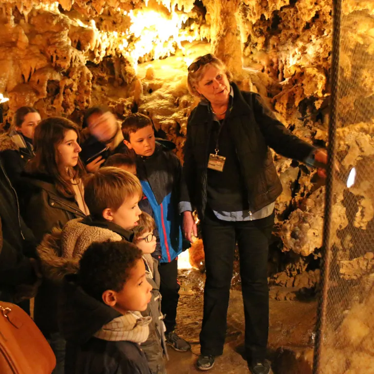 The Grotte du Grand Roc and the prehistoric sh ...