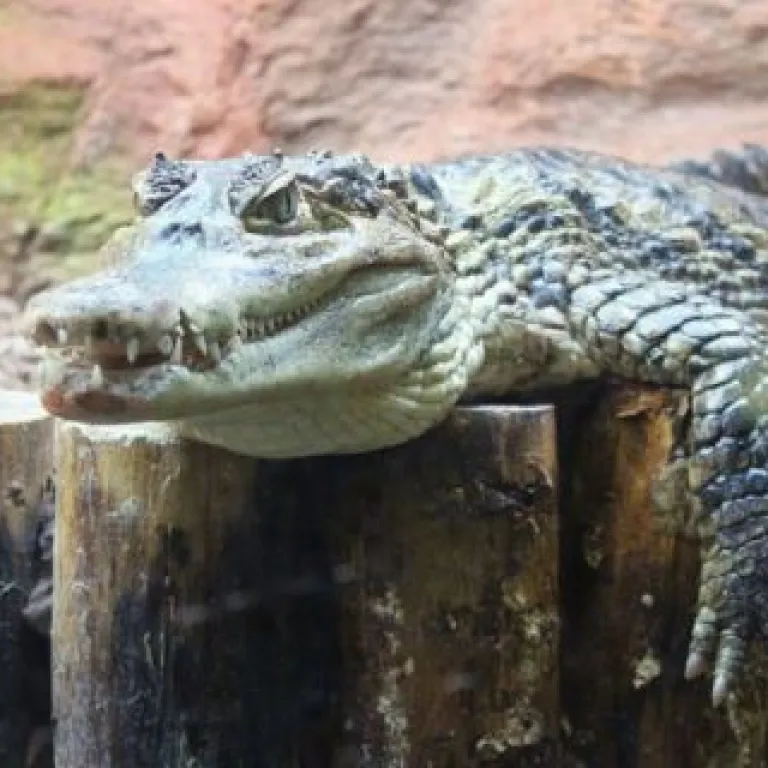L'aquarium du Périgord Noir