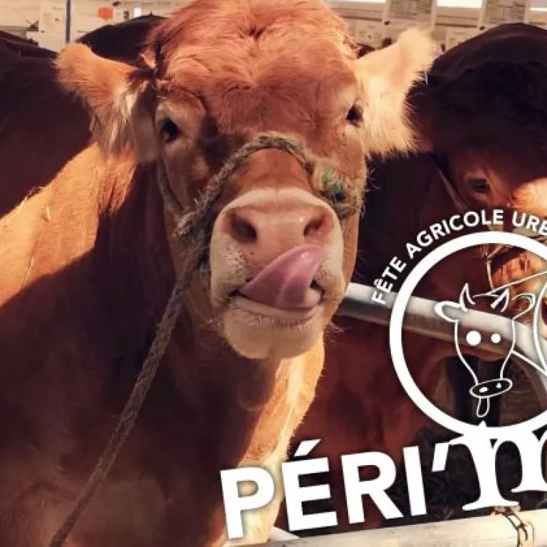 Péri'Meuh la Fête Agricole de Périgueux