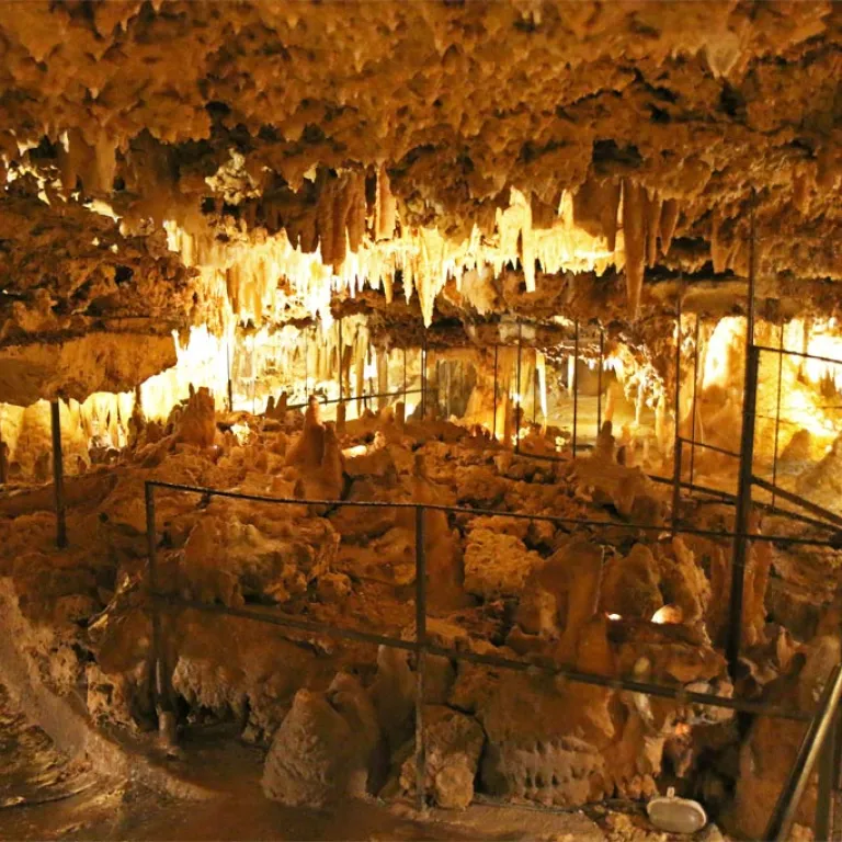 Discover all the caves of Périgord!