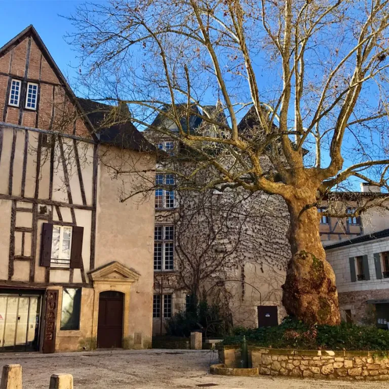 Visit museums in Perigord !
