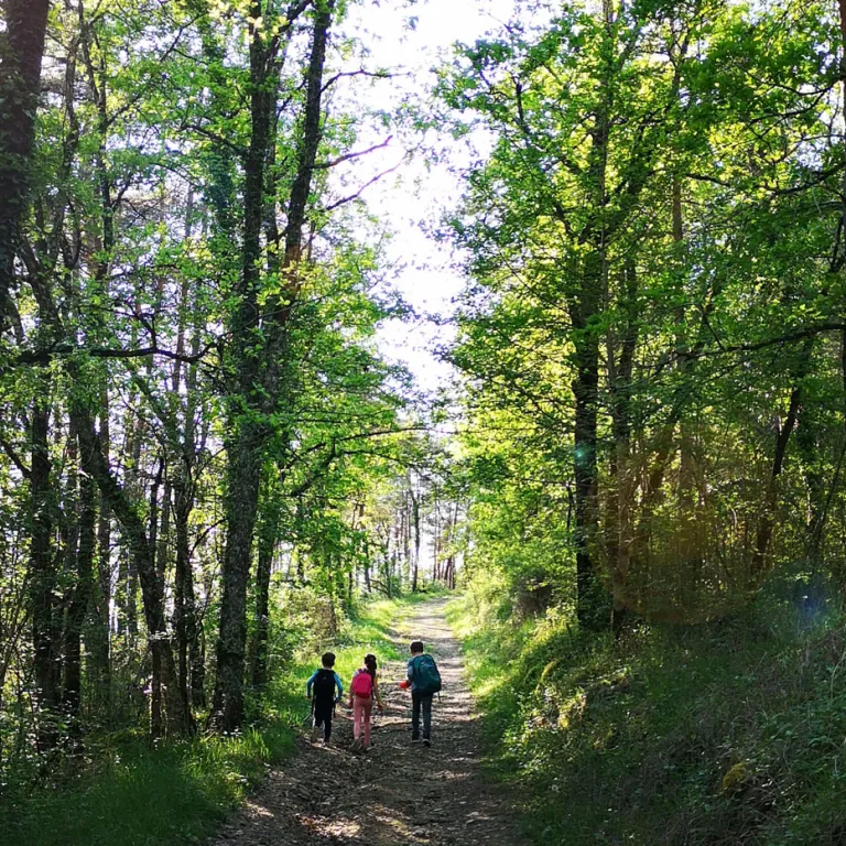 The most beautiful walks in the Périgord