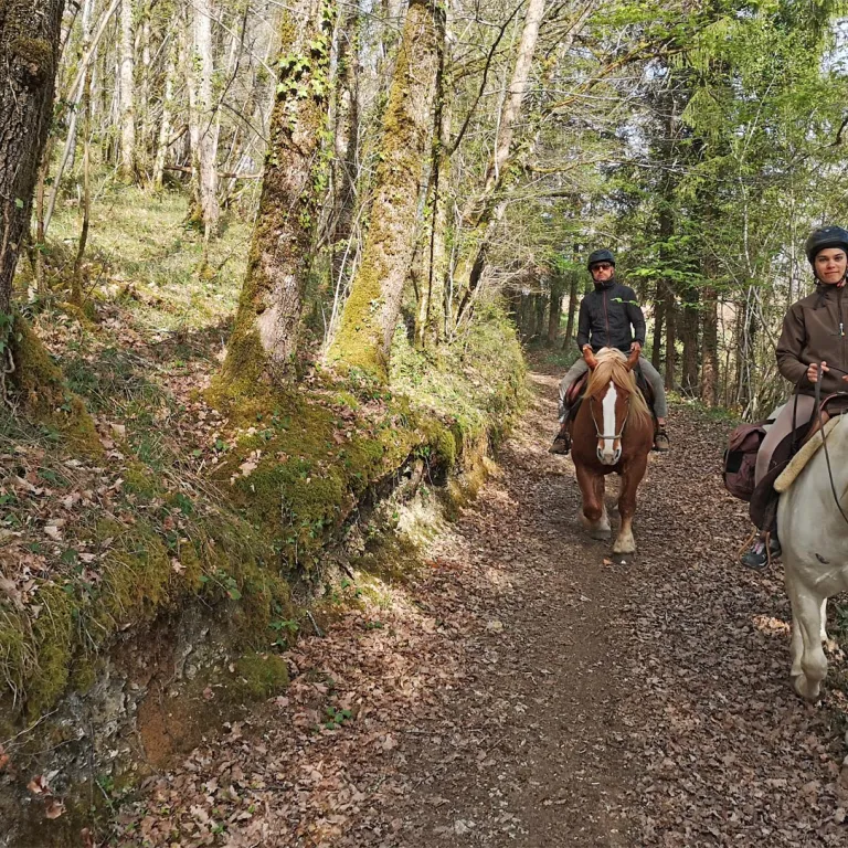Horse riding in Saint-Amand-de-Coly in Périgor ...