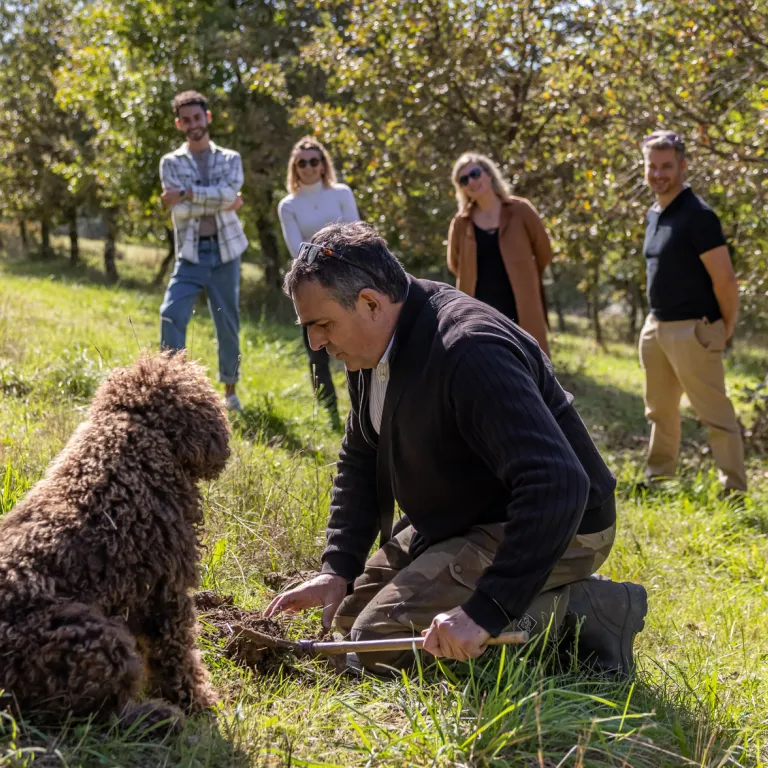 A weekend to discover the truffle, in the hear ...