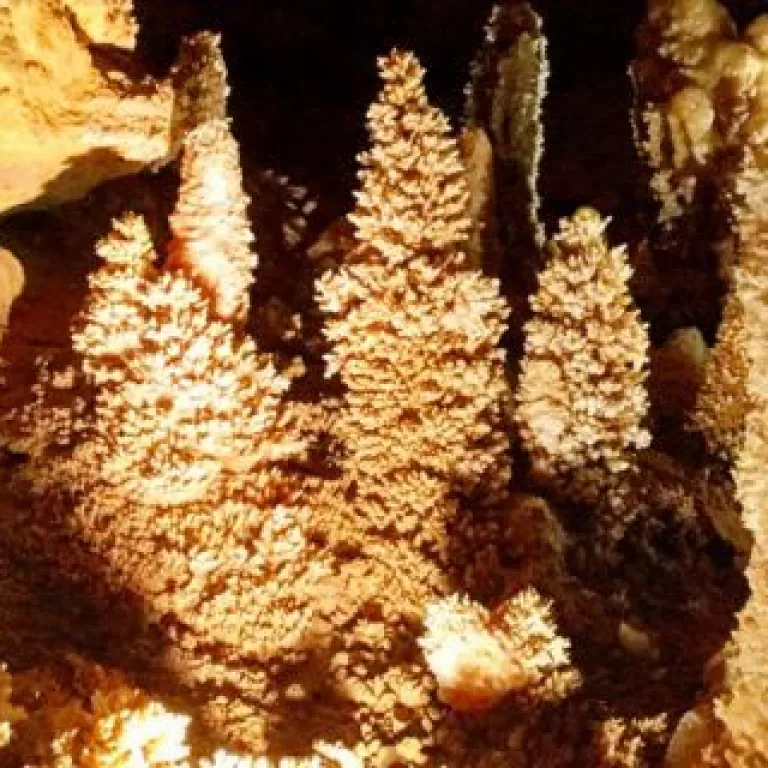 Les grottes de Maxange : une visite conviviale