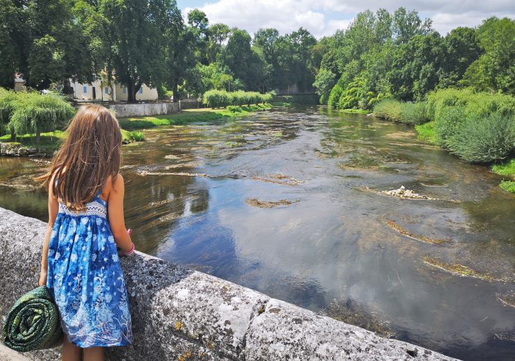 Discover the Dronne, a crystalline river emble ...