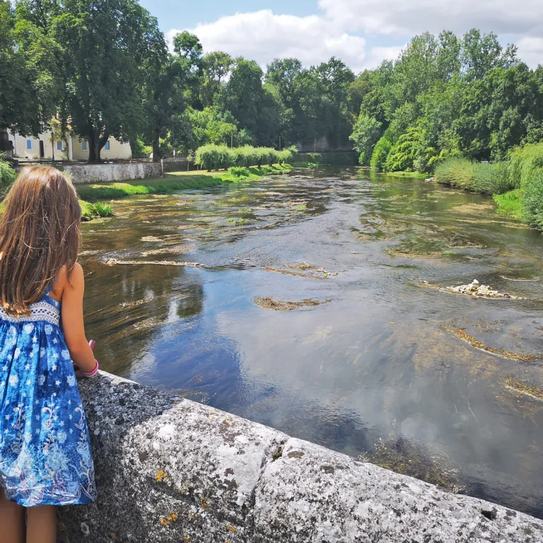 Discover the Dronne, a crystalline river emble ...