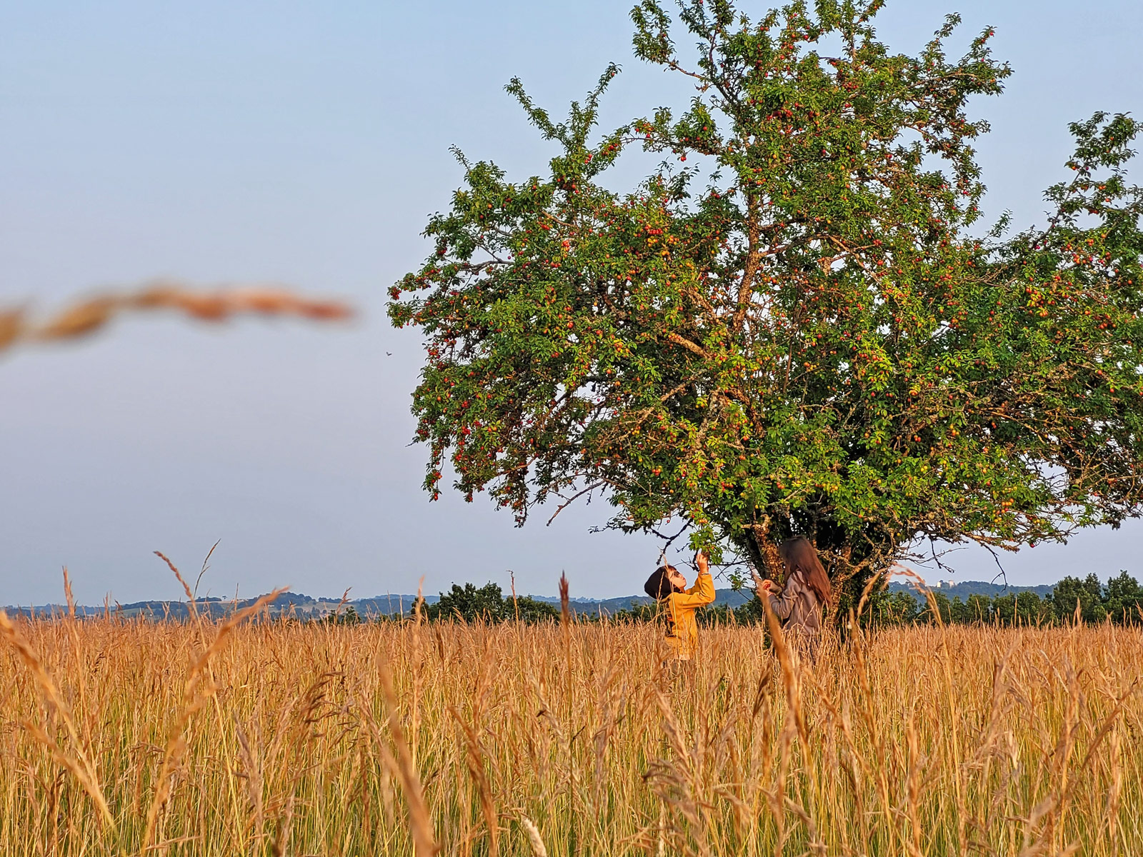 Le Top des activités gratuites à faire en Dord ...