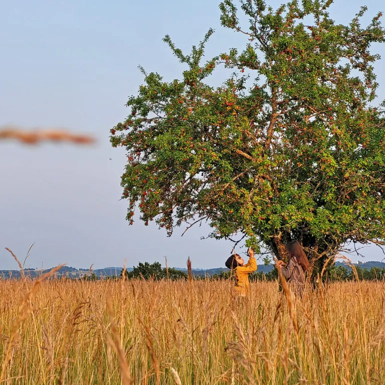 The Top free activities to do in Dordogne Péri ...