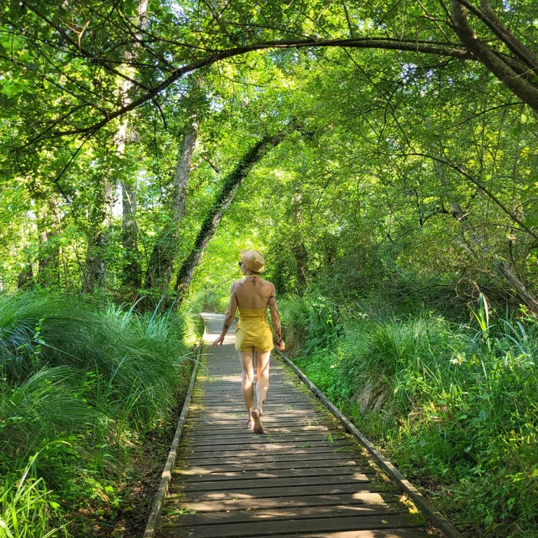 The Groléjac marsh trail: An unusual walk in t ...