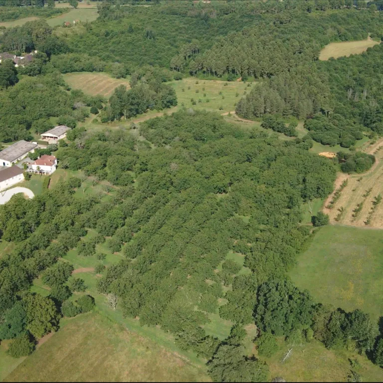 Les Noyeraies du Lander: A visit from walnut t ...