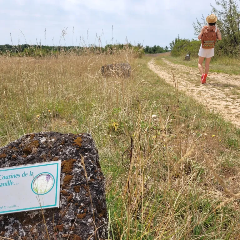The Argentine Plateau Discovery Trail