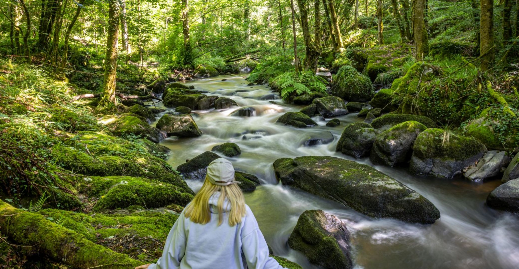 Le Parc naturel régional Périgord-Limousin, une destination ...