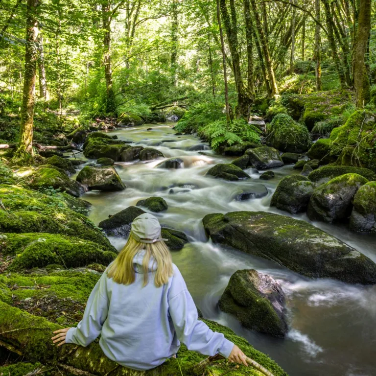 Le Parc naturel régional Périgord-Limousin, un ...