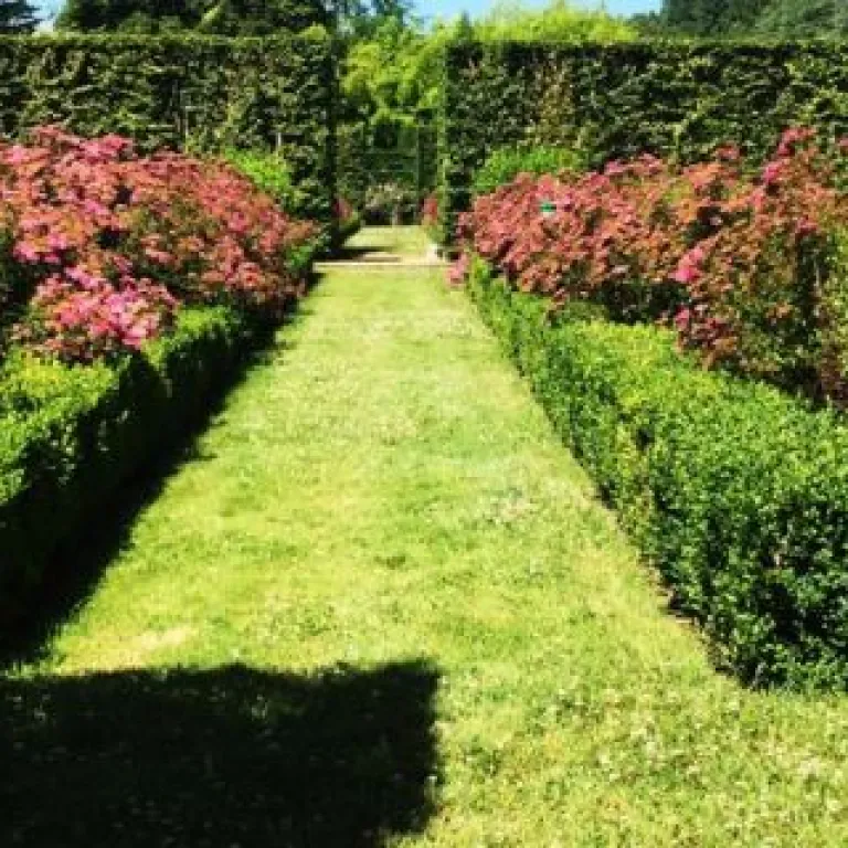 Le château de Losse et ses jardins