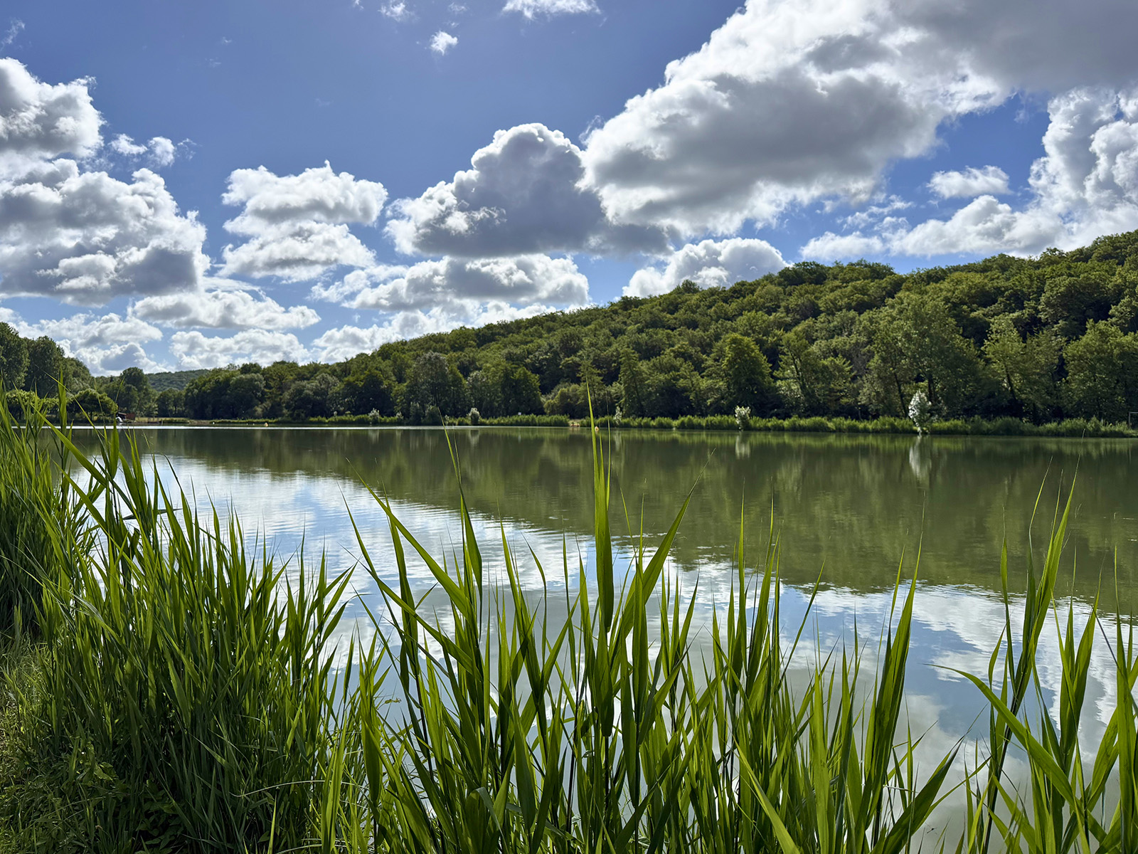 Tamniès Pond: Swimming and leisure in the hear ...