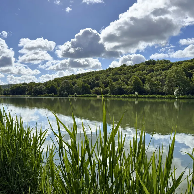 Tamniès Pond: Swimming and leisure in the hear ...