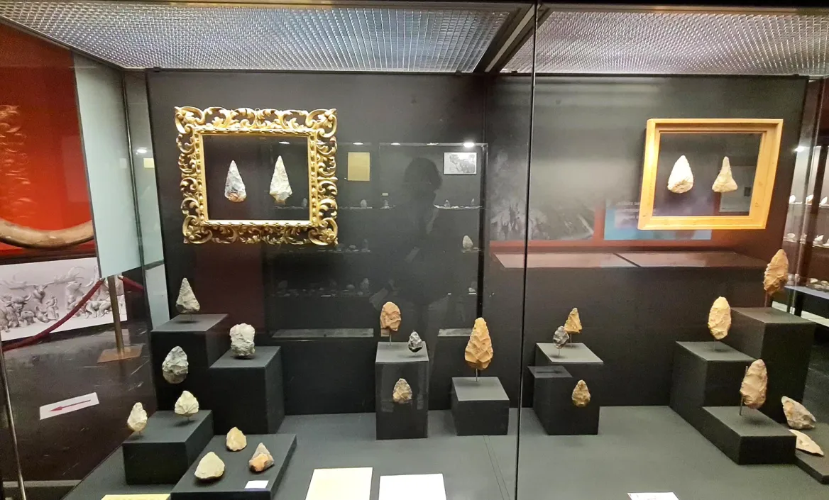 Prehistoric collections