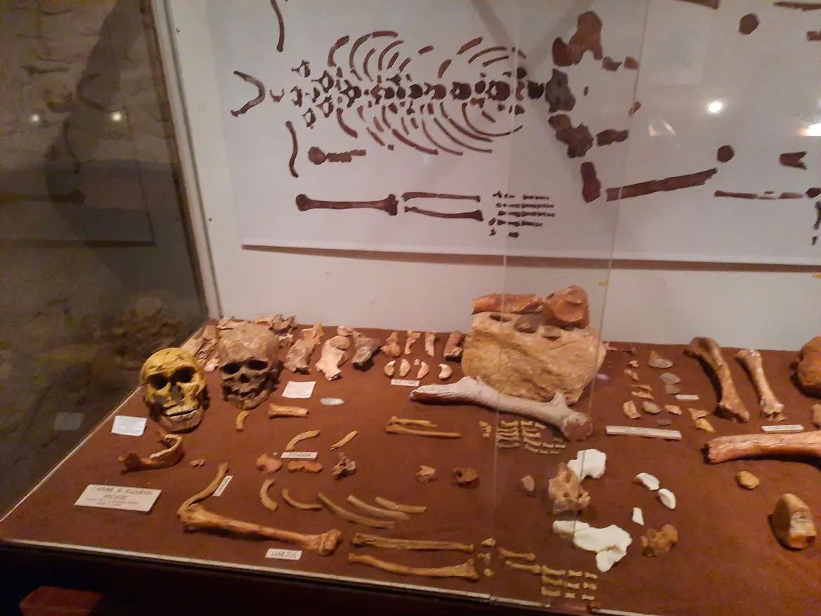 Regourdou Museum