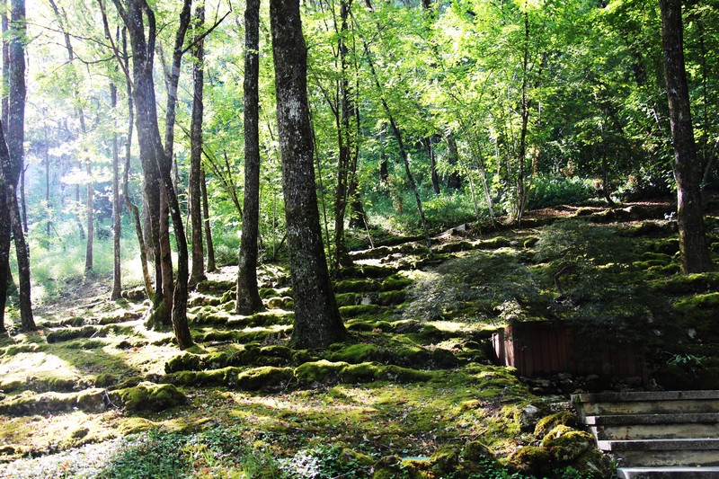 Les jardins de limaginaire